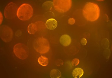 Bokeh ile soyut arkaplan