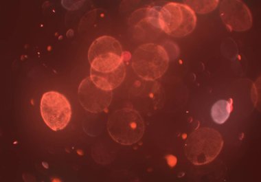 parlak bokeh ışıkları ile dijital duvar kağıdı 