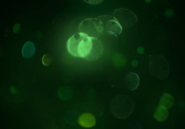 bokeh ve kopyalama alanı ile soyut arka plan