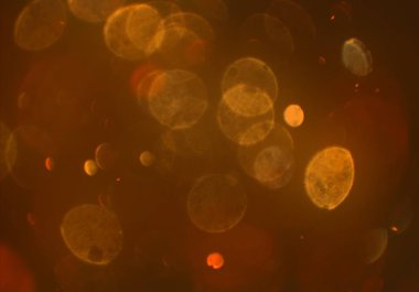 bokeh ile sanat soyut arka plan 