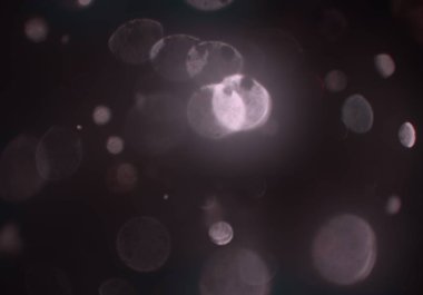 bokeh ile sanat soyut arka plan 