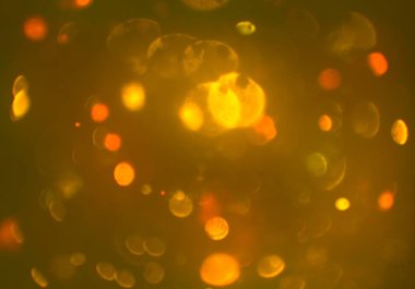 bokeh ve metin için alan ile soyut duvar kağıdı