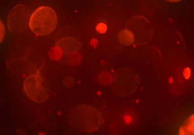 Bokeh ile soyut arkaplan