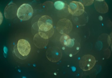 bokeh ile sanat soyut arka plan 