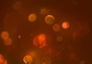 Bokeh ile soyut arkaplan