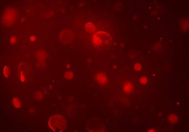 kırmızı ve beyaz arkaplan