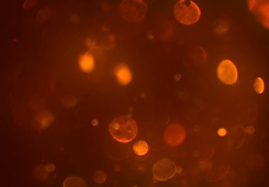 bokeh ışıkları ile soyut duvar kağıdı