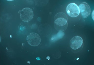 bokeh ile sanat soyut arka plan 