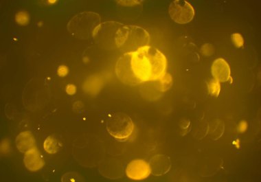 bokeh ile sanat soyut arka plan 