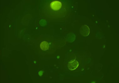 bokeh abstact arka plan ile galaksi