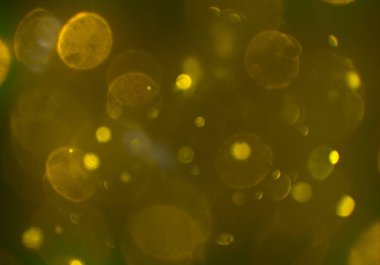 bokeh ve kopyalama alanı ile soyut arka plan