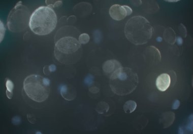 bokeh ile sanat soyut arka plan 