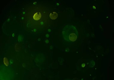 parlak bokeh ışıkları ile dijital duvar kağıdı 