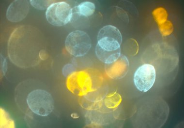 kopya alanı ile bokeh ışıkları dijital arka plan