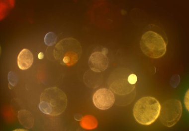 metin veya görüntü için alan ile bokeh arka plan