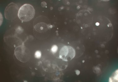 Bokeh ile soyut arkaplan