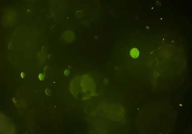 bokeh ile sanat soyut arka plan 