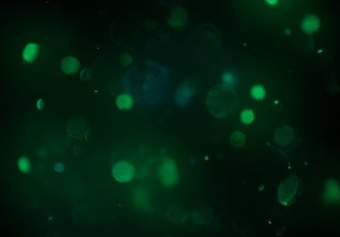 parlak bokeh ışıkları ile dijital duvar kağıdı 