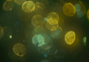 bokeh ve kopyalama alanı ile soyut arka plan