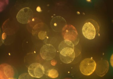 bokeh ile sanat soyut arka plan 