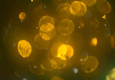 bokeh abstact arka plan ile galaksi