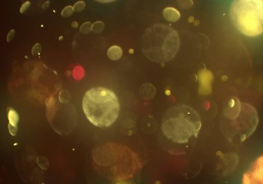 parlak bokeh ışıkları ile dijital duvar kağıdı 