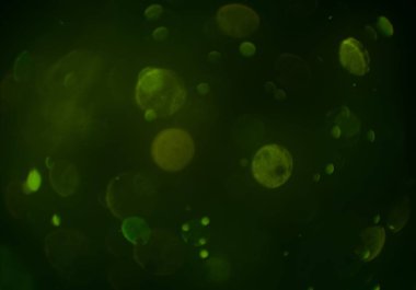 bokeh ile sanat soyut arka plan 