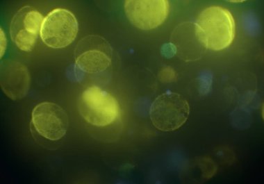 bokeh ve kopyalama alanı ile soyut arka plan