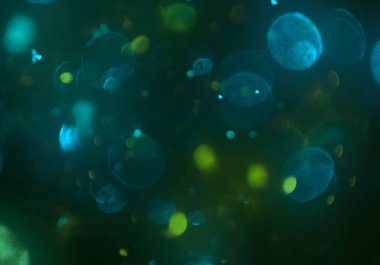 kopya alanı ile bokeh ışıkları dijital arka plan