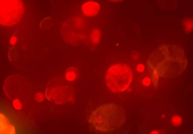 soyut arkaplan, kopyalama alanı