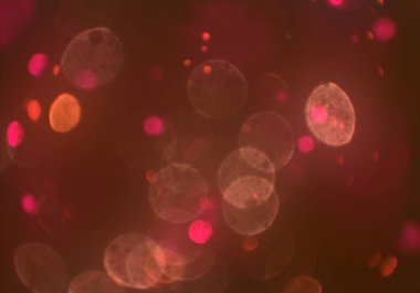 Bokeh ile soyut arkaplan