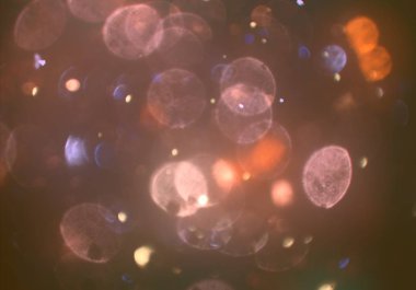 metin veya görüntü için alan ile bokeh arka plan