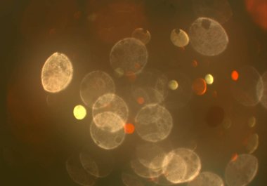 bokeh abstact arka plan ile galaksi