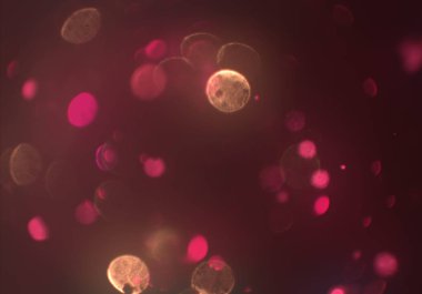 Bokeh ile soyut arkaplan