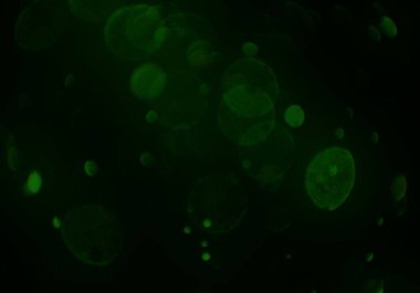 bokeh abstact arka plan ile galaksi