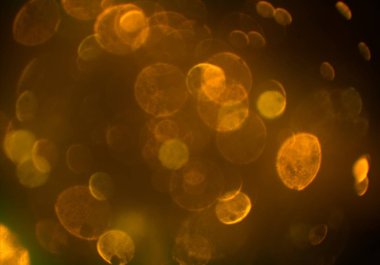 Bokeh ile soyut arkaplan