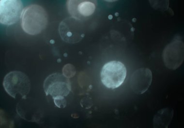 bokeh ile sanat soyut arka plan 