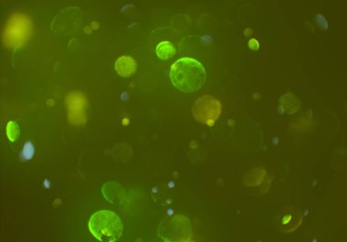 bokeh ile sanat soyut arka plan 