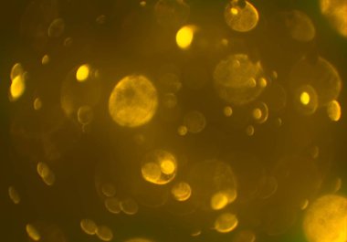 bokeh ve metin için alan ile soyut duvar kağıdı