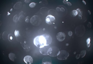 bokeh ile sanat soyut arka plan 