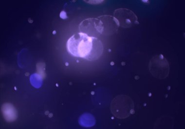 metin veya görüntü için alan ile bokeh arka plan