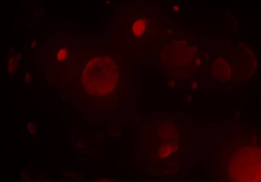 bokeh abstact arka plan ile galaksi