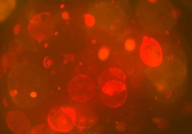 bokeh ile sanat soyut arka plan 