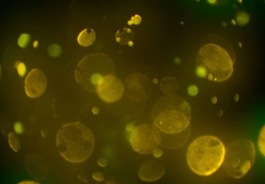 Bokeh ile soyut arkaplan