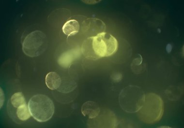 bokeh ile sanat soyut arka plan 