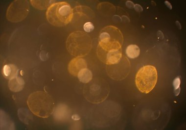 bokeh ile sanat soyut arka plan 