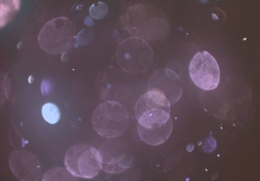 Bokeh ile soyut arkaplan