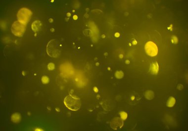 metin veya görüntü için alan ile bokeh arka plan