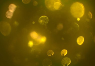 bokeh abstact arka plan ile galaksi