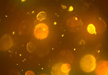 kopya alanı ile bokeh ışıkları dijital arka plan